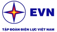 Tập đoàn Điện lực Việt Nam